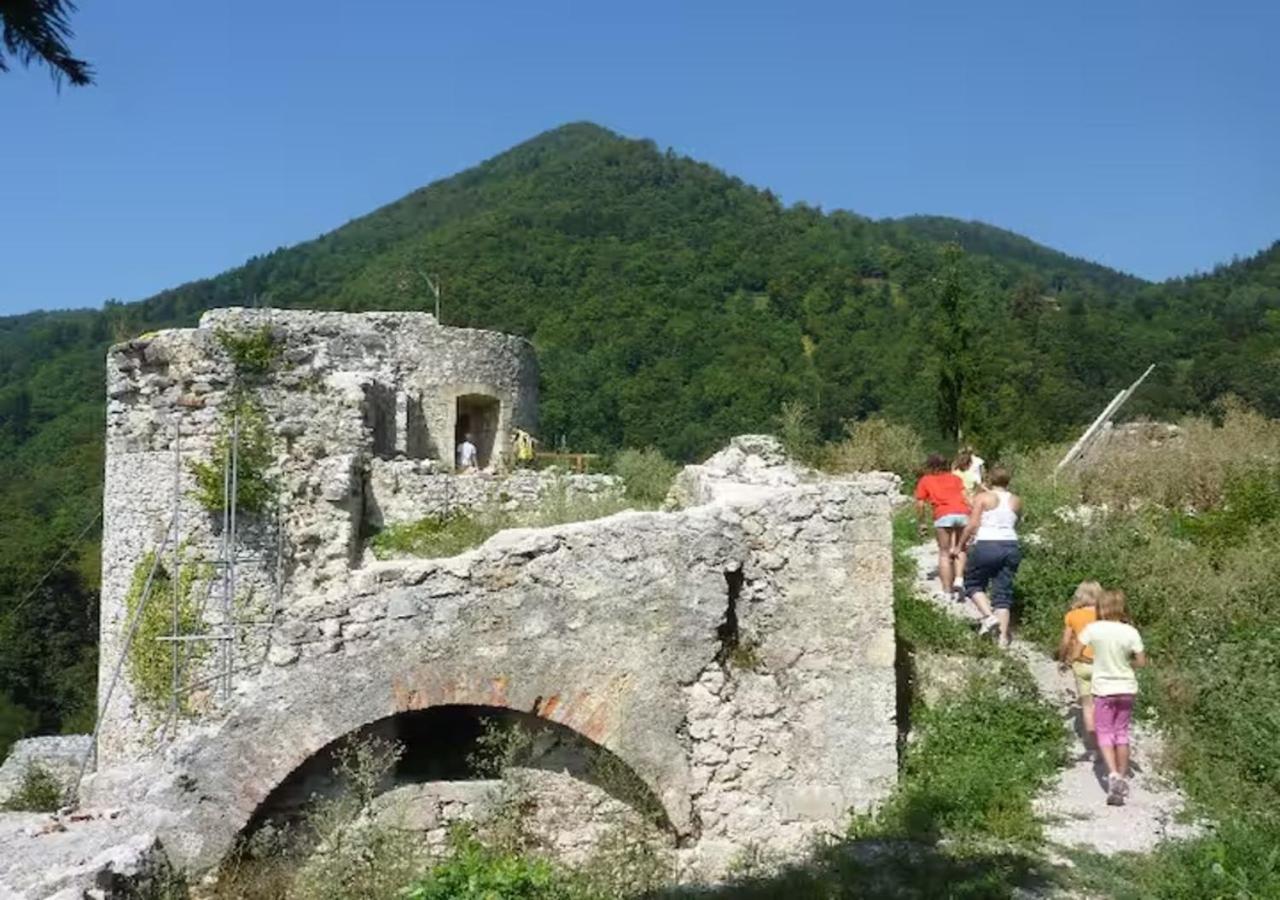 Turisticna Kmetija Weiss Βίλα Miklavz pri Taboru Εξωτερικό φωτογραφία