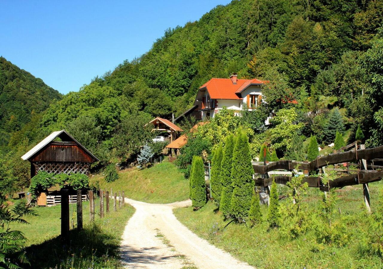 Turisticna Kmetija Weiss Βίλα Miklavz pri Taboru Εξωτερικό φωτογραφία