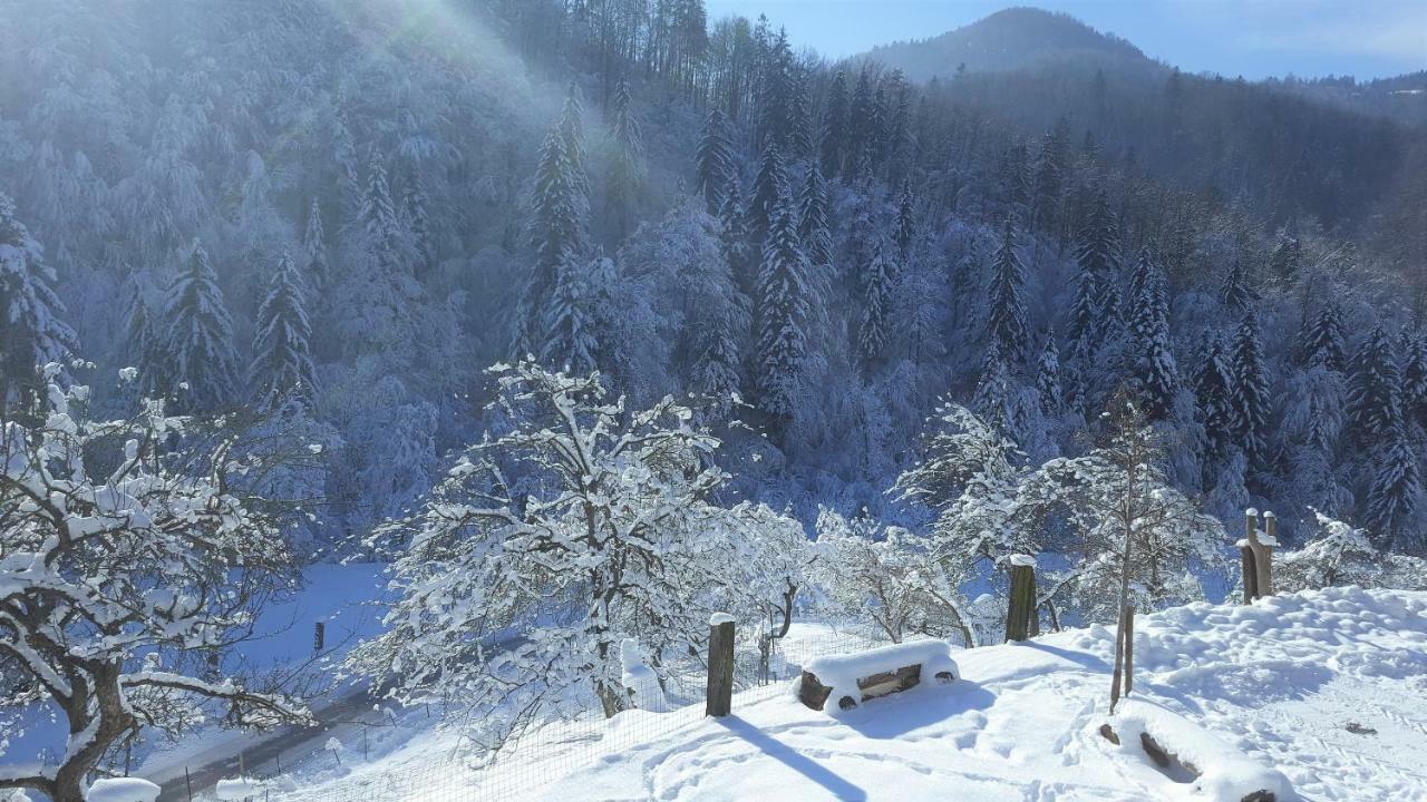 Turisticna Kmetija Weiss Βίλα Miklavz pri Taboru Εξωτερικό φωτογραφία