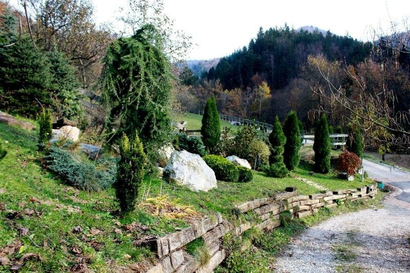 Turisticna Kmetija Weiss Βίλα Miklavz pri Taboru Εξωτερικό φωτογραφία